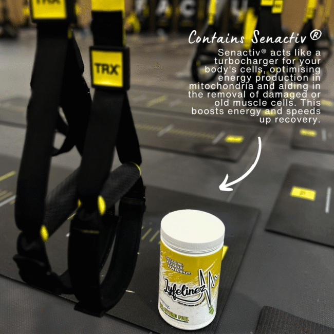 Hydro Fuel - Image 4