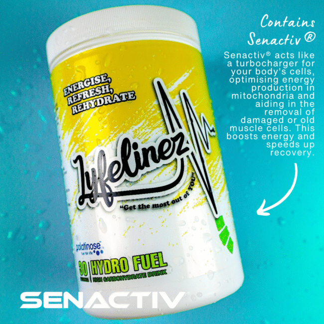 Hydro Fuel - Image 3